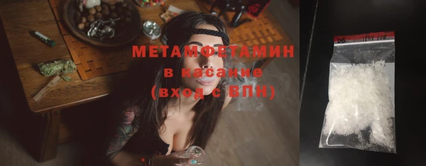 сатива Кулебаки