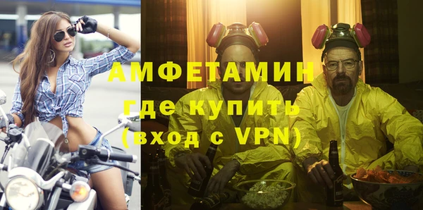 сатива Кулебаки
