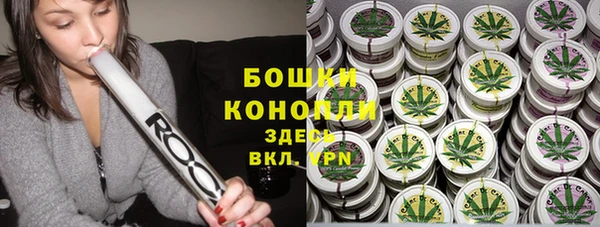 сатива Кулебаки