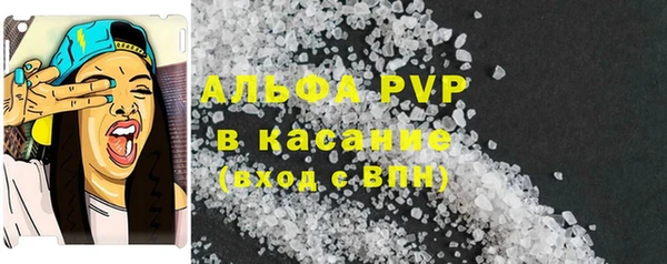 сатива Кулебаки