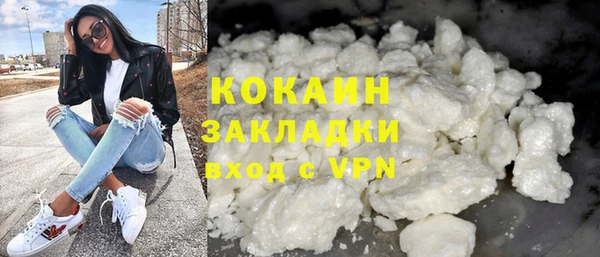 сатива Кулебаки