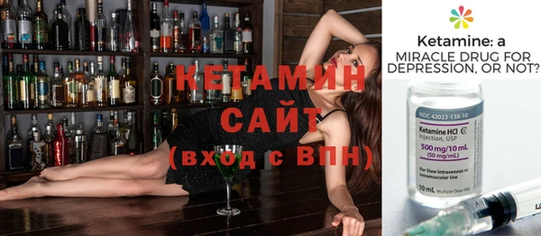 сатива Кулебаки