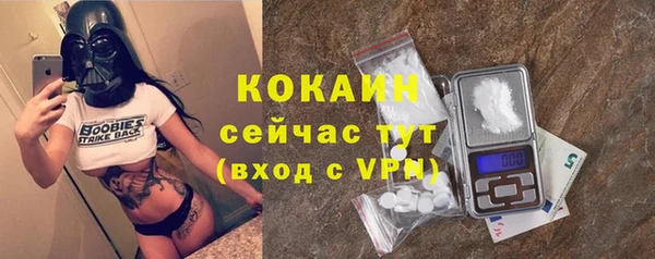 сатива Кулебаки