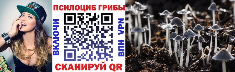 Купить где  Кирс  Галлюциногенные грибы мухоморы 